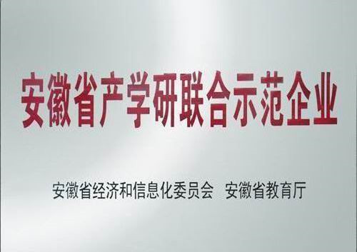 安徽省产学研联合示范企业